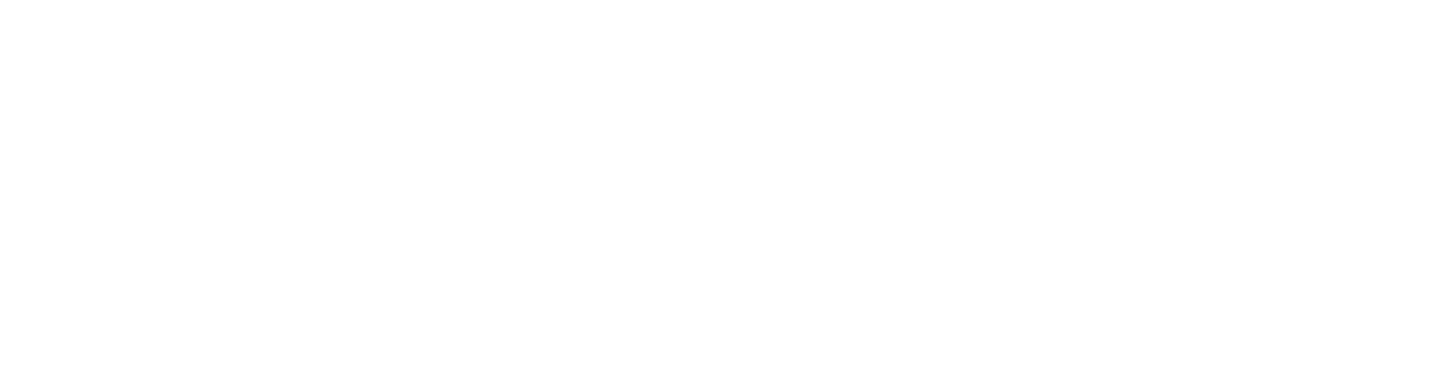 Electric Mobility